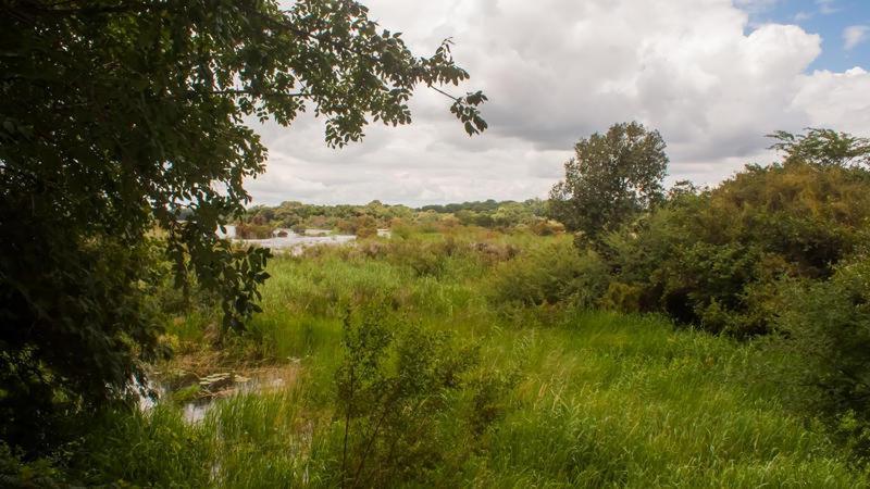 Divundu White Sands Lodge חדר תמונה